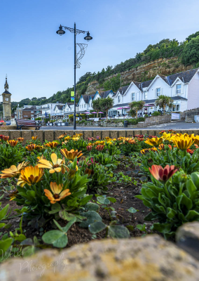 Apartment Balcony View